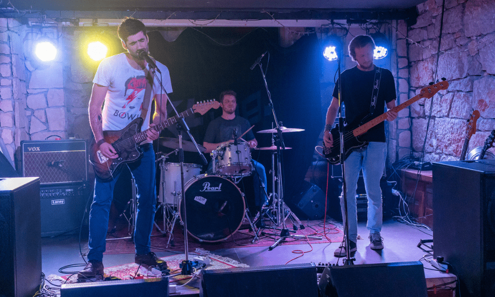 Muhe, autor: Damir Jevtić