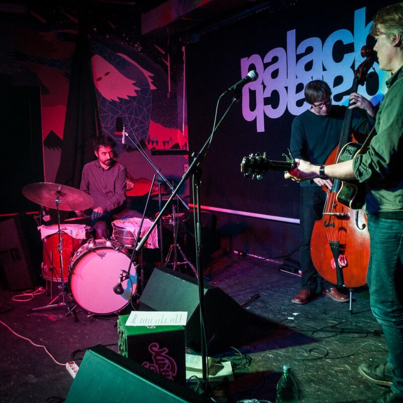 Chris Eckman i gosti: Blaž Celarec & Žiga Golob, autor: Erik Paladin