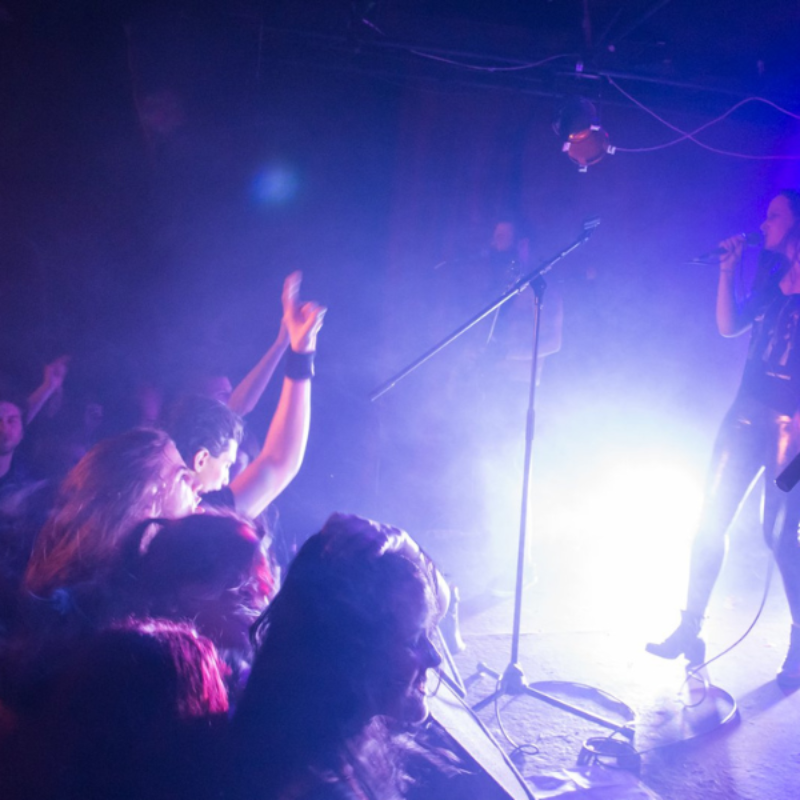 Po’ Metra Crijeva + One Piece Puzzle, autor: Gregor Bogdanović