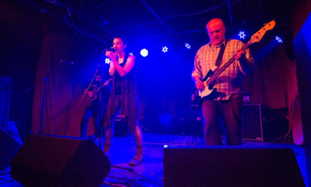 Bernays Propaganda + Get Your Gun, autor: Damir Jevtić