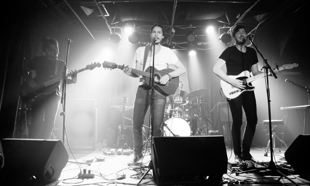 My Buddy Moose + White on White, autor: Damir Jevtić