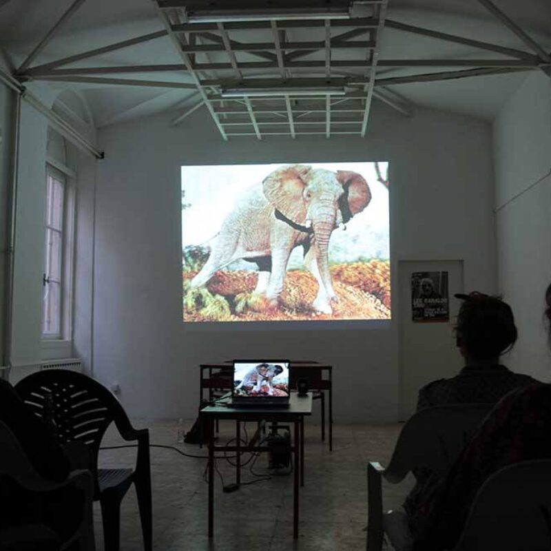 ''Glazbeni osvrt na Can'', autorica: Kristina Barišić