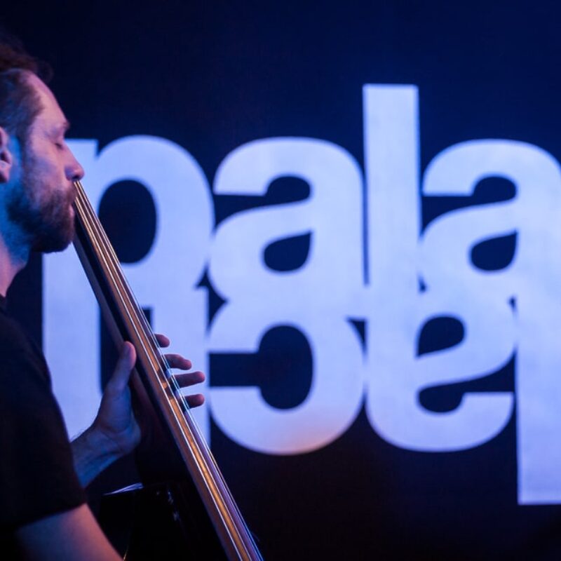 Fish in Oil, autor: Erik Paladin