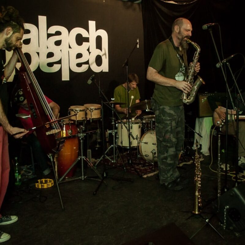 Fish in Oil, autor: Erik Paladin