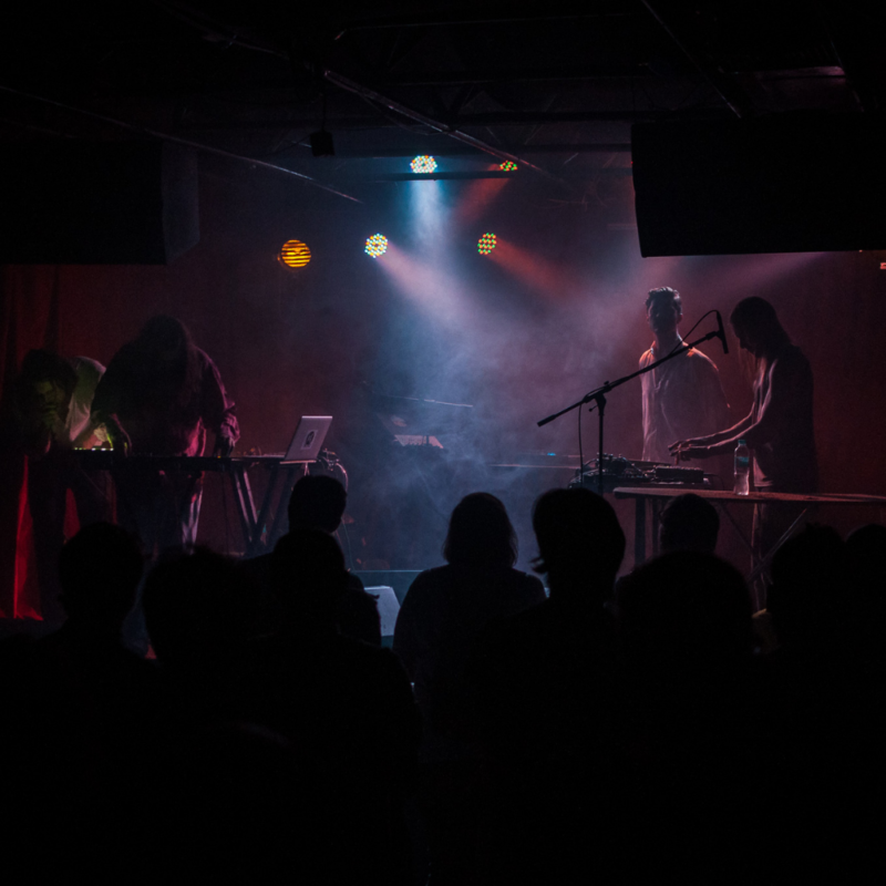 Liima, autorica: Kristina Barišić