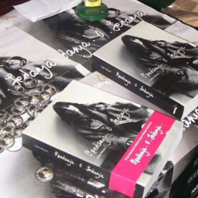 ''Osećanja. O. Sećanja'', autor: Damir Jevtić