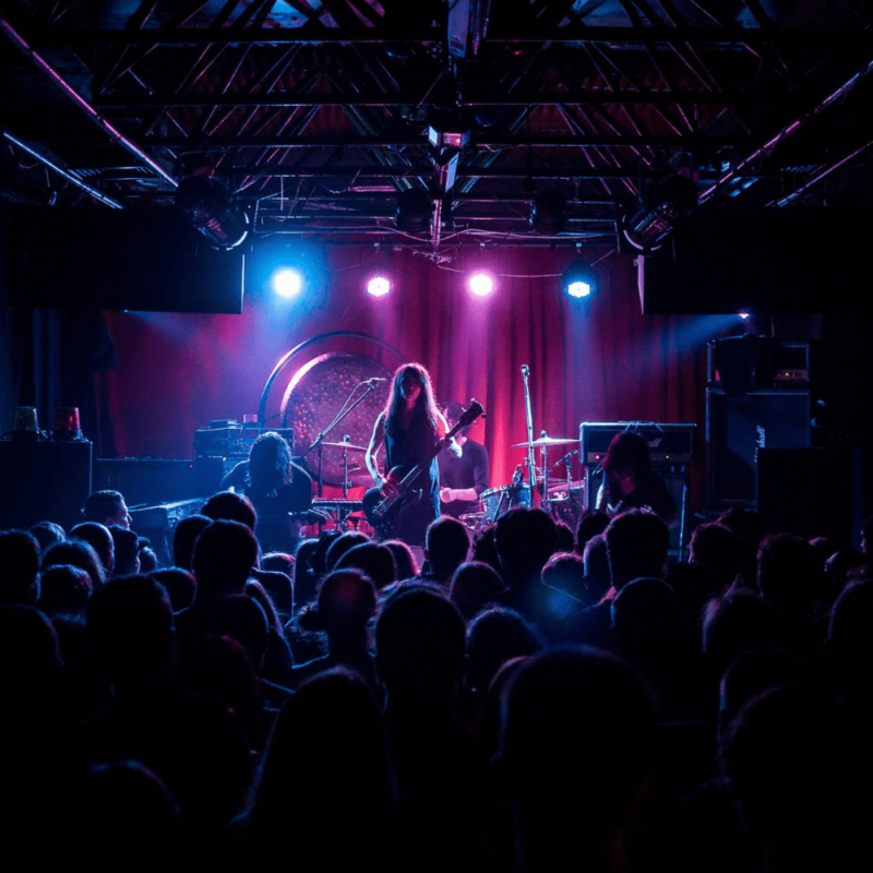 Mono + Helen Money, autor: Erik Paladin