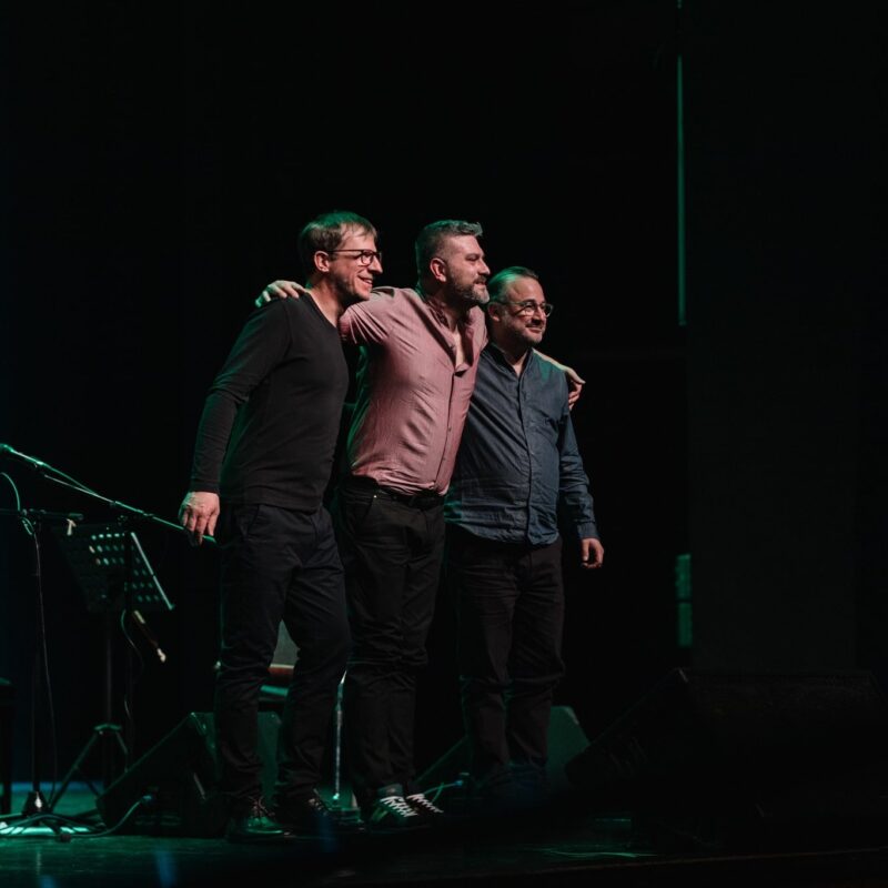 Damir Imamović, autorica: Tanja Kanazir