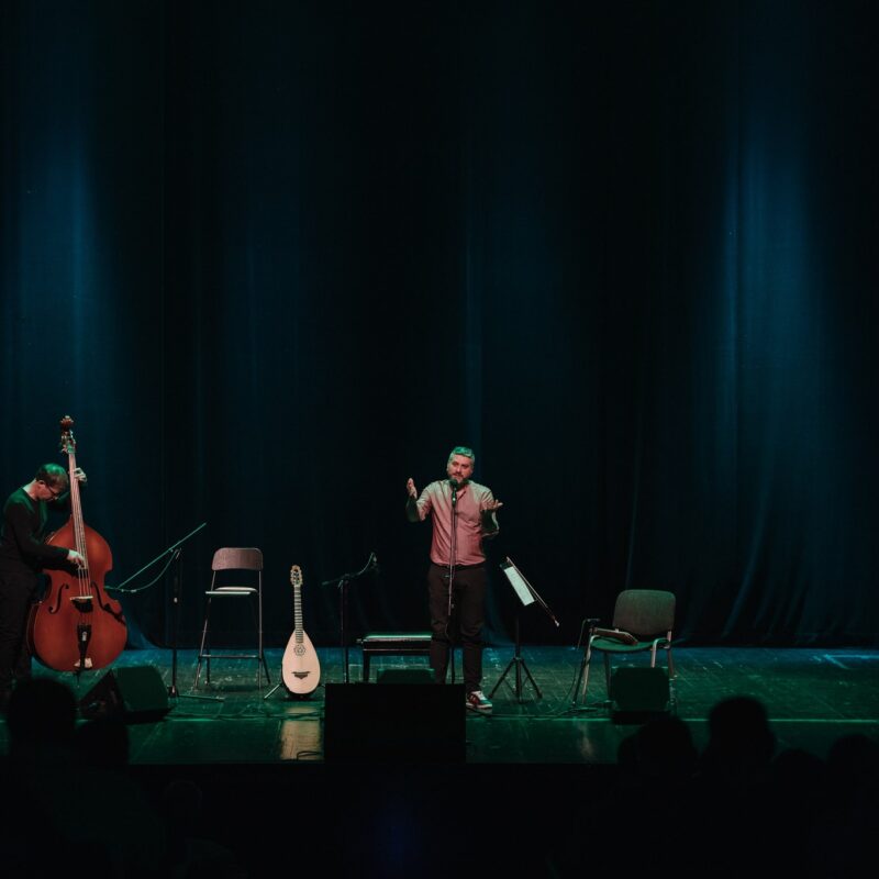 Damir Imamović, autorica: Tanja Kanazir