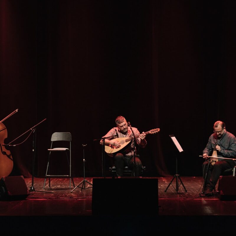 Damir Imamović, autorica: Tanja Kanazir