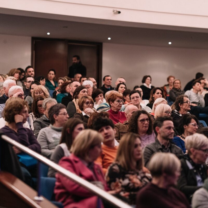 Damir Imamović, autorica: Tanja Kanazir