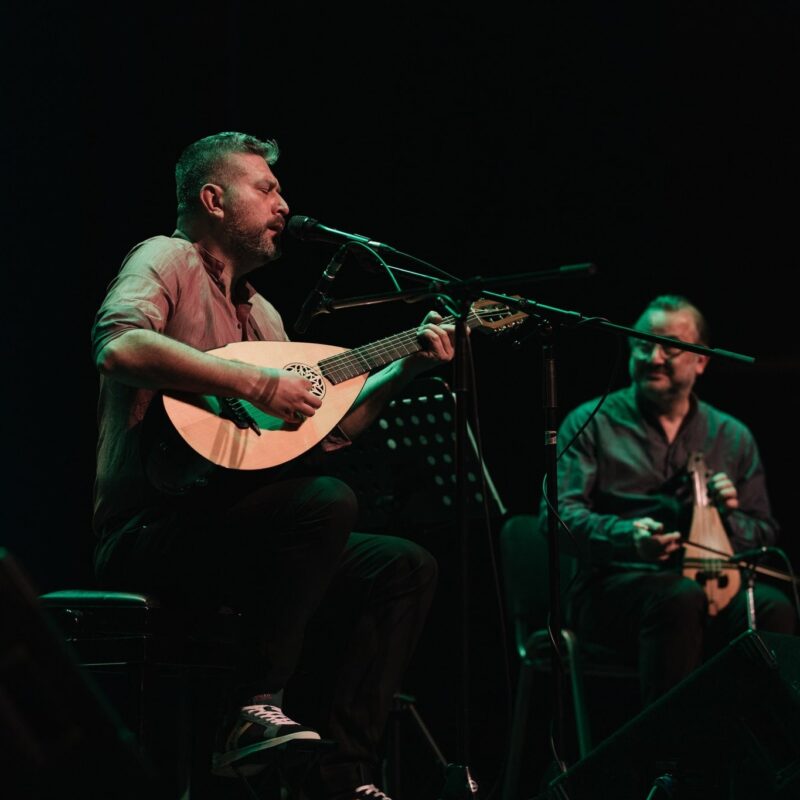 Damir Imamović, autorica: Tanja Kanazir