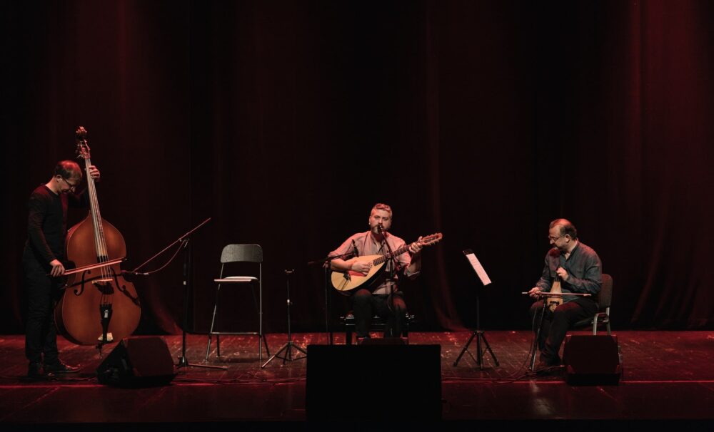 Damir Imamović, autorica: Tanja Kanazir