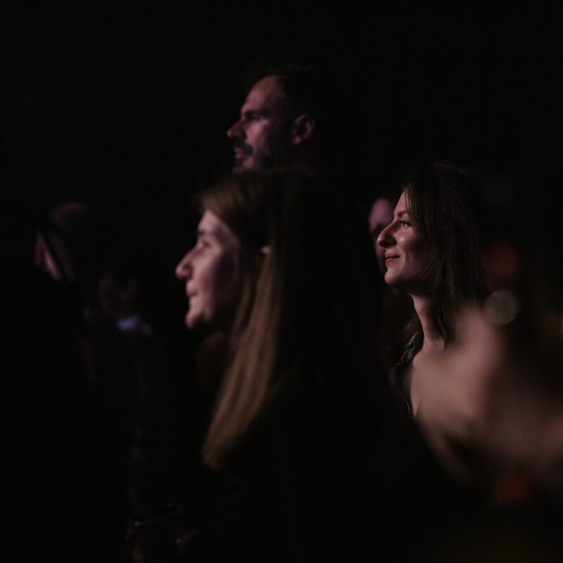 Michelle Gurevich + Twin Sons, autorica: Tanja Kanazir