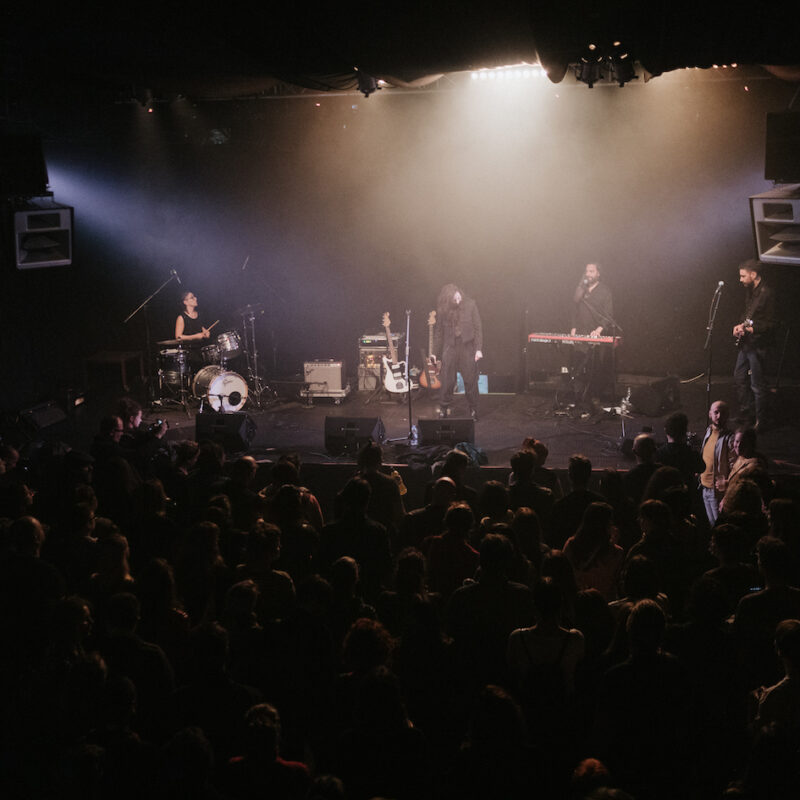 Michelle Gurevich + Twin Sons, autorica: Tanja Kanazir