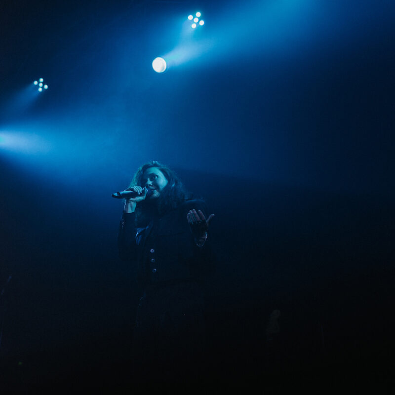 Michelle Gurevich + Twin Sons, autorica: Tanja Kanazir