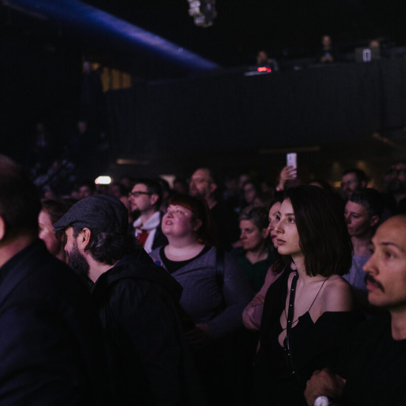 Michelle Gurevich + Twin Sons, autorica: Tanja Kanazir