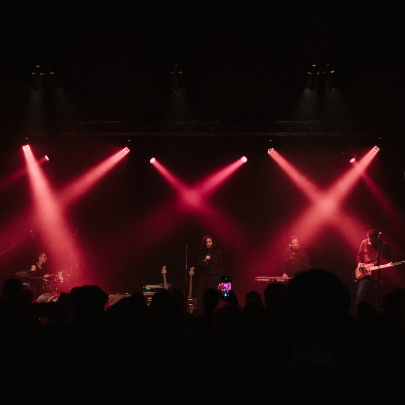 Michelle Gurevich + Twin Sons, autorica: Tanja Kanazir