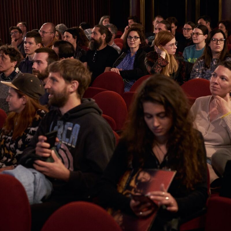 Chui svira Berlin, autorica: Matea Štedul