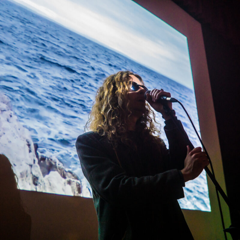 Polarne ptice, autor: Josip Počuča