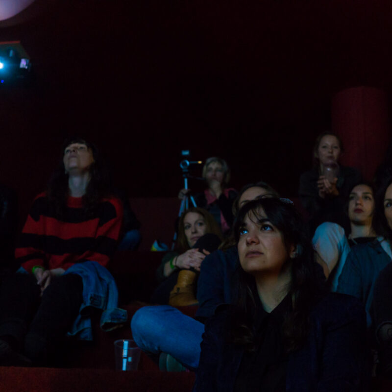 Polarne ptice, autor: Josip Počuča