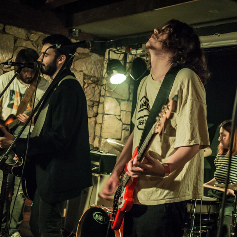 Šajzerbiterlemon + Those Herds, autor: Josip Počuča