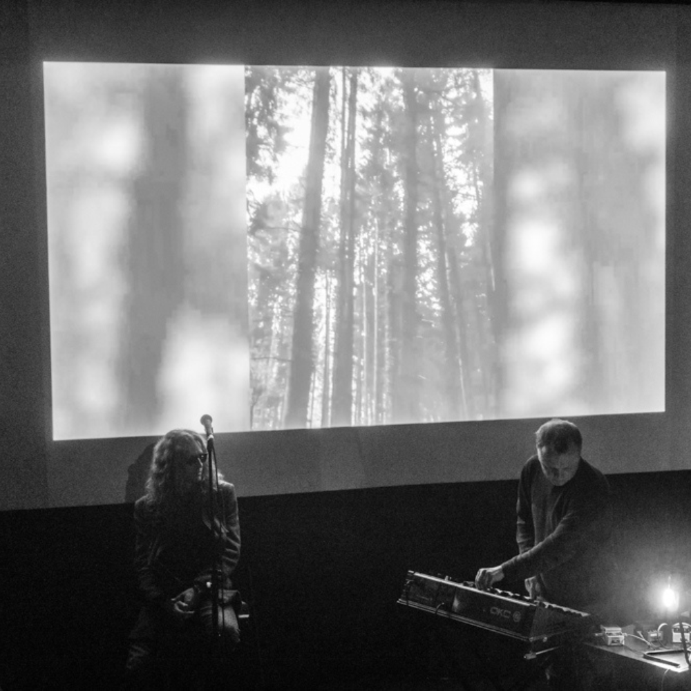 Polarne ptice, autor: Josip Počuča