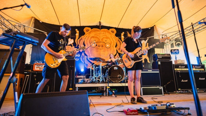 The Freak Folk of Mangrovia, autorica: Sanja Matić