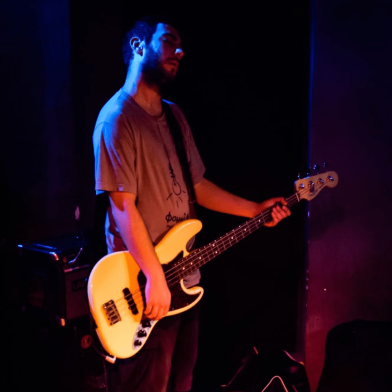 Bernays Propaganda + Monozid, autor: Erik Paladin