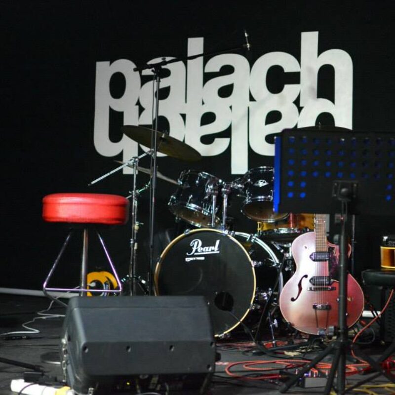 Nina Romić + MišAndroid, autor: Erik Paladin