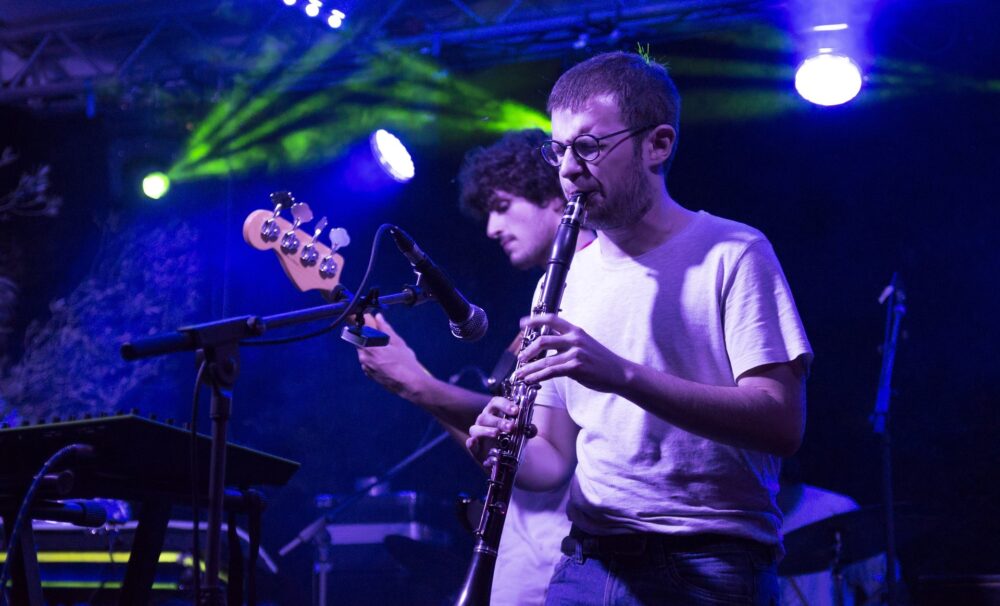 Velvet Festival #3, autor: Dinko Cicvarić