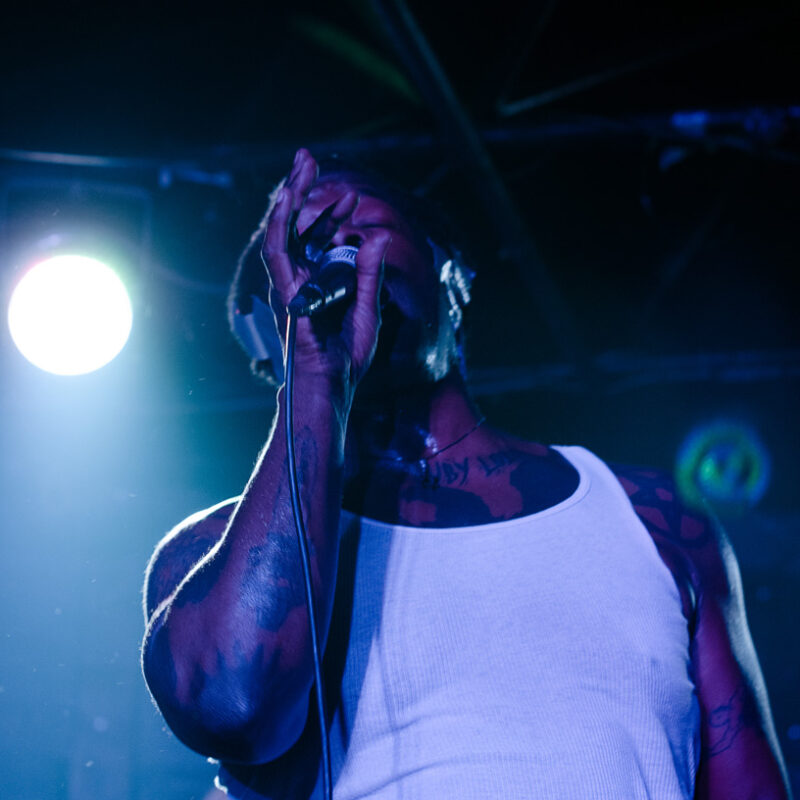 L’enfance Rouge + Eugene S. Robinson + [mandelbrot set], autor: Željko Stipaničev