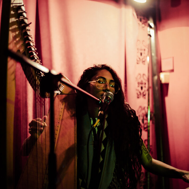 Low Leaf, autorica: Doris Fatur