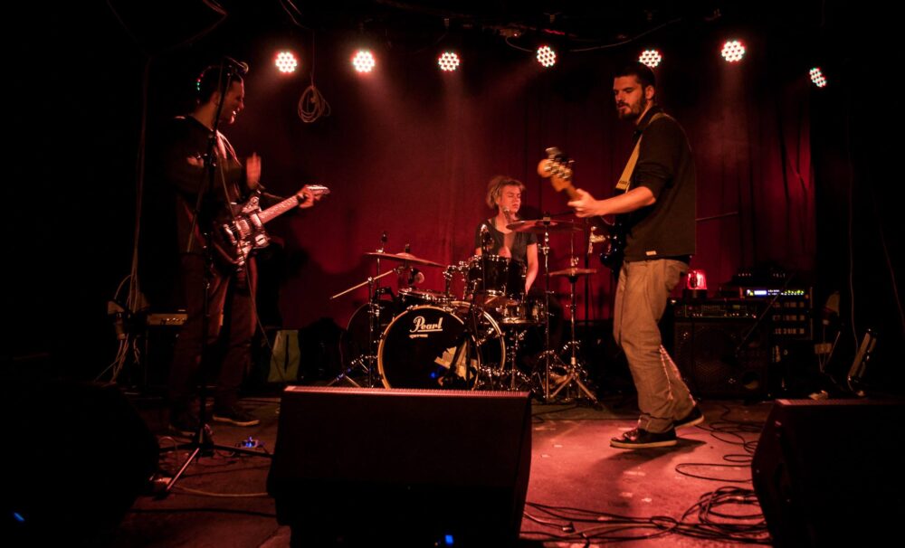 Mnjenje + Vlasta Popić, autor: Erik Paladin