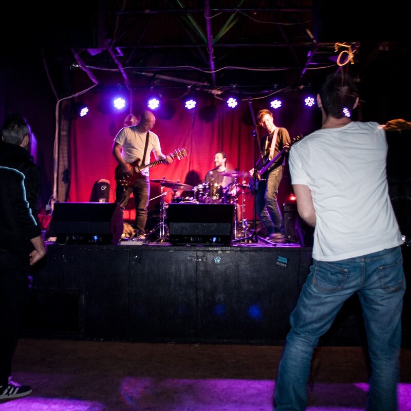 Mnjenje + Vlasta Popić, autor: Erik Paladin