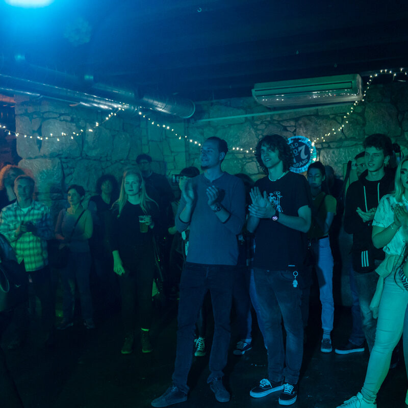 Muhe, autor: Damir Jevtić