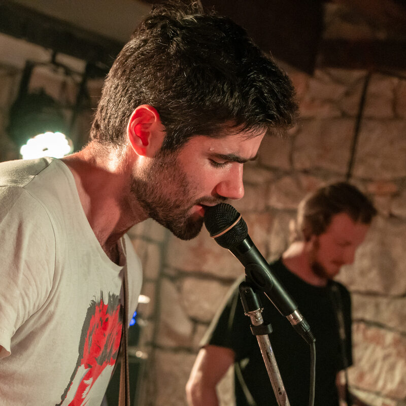 Muhe, autor: Damir Jevtić