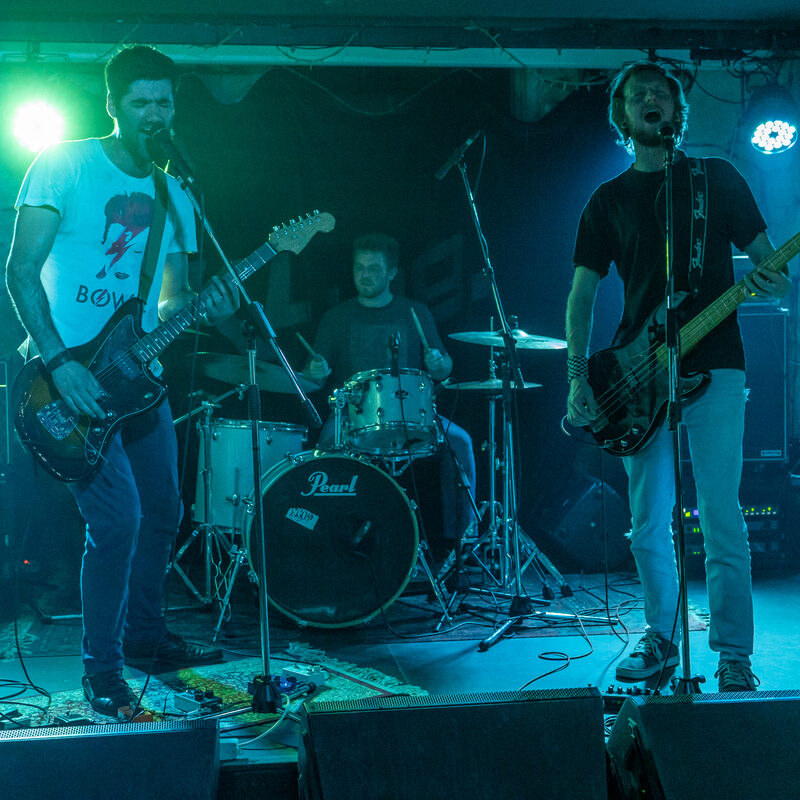 Muhe, autor: Damir Jevtić