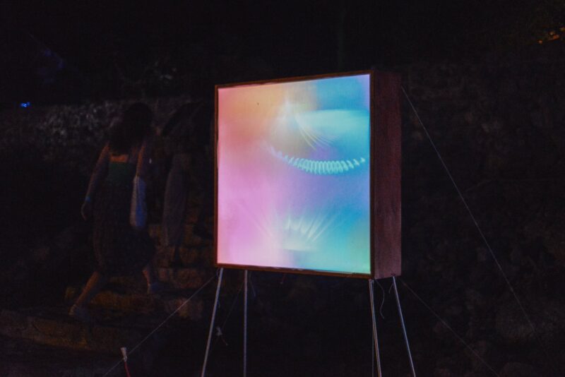 Velvet Festival #3, autorica: Nika Petković