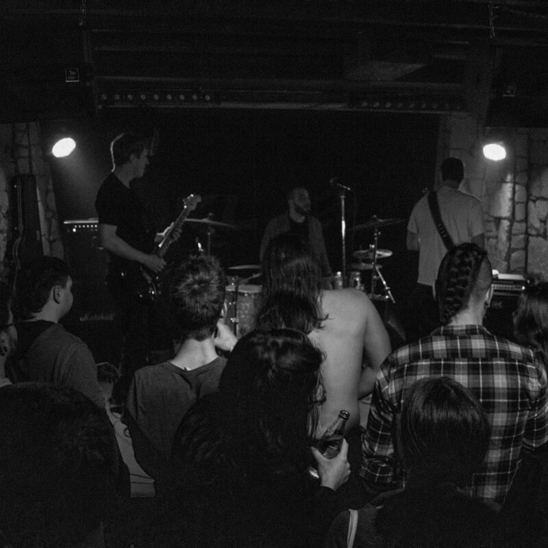 Pomelo Chess Society + Entropist, autor: Mario Vukelić