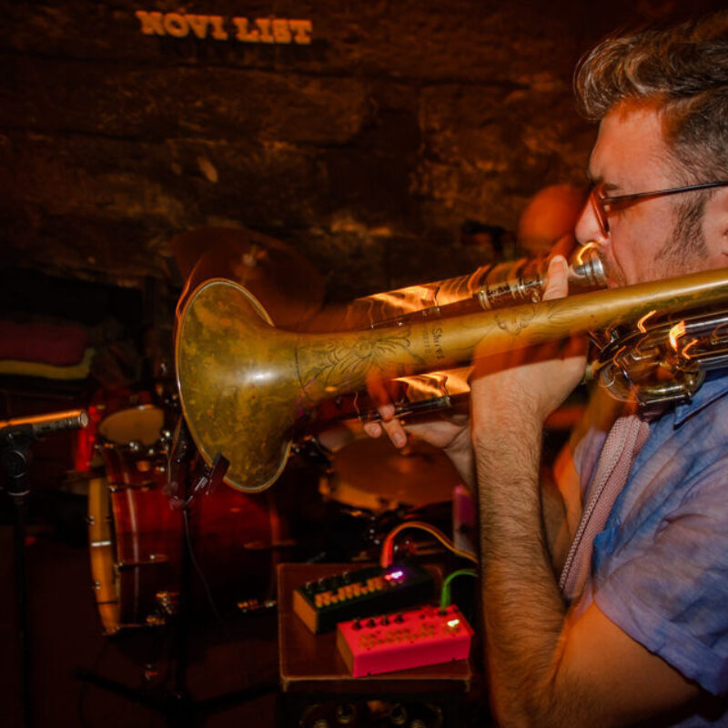 Ravish Momin’s Tarana, autor: Erik Paladin