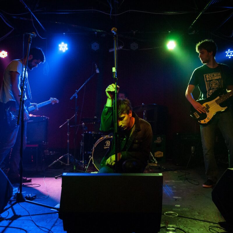 ŠUM, autor: Erik Paladin