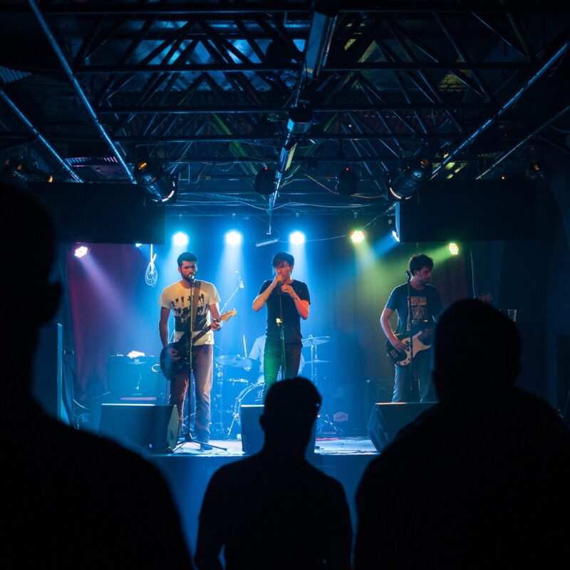 ŠUM, autor: Erik Paladin