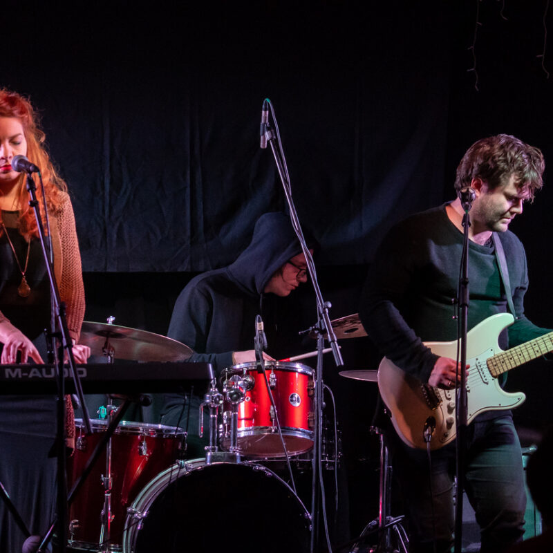 Stray Dogg, autor: Damir Jevtić