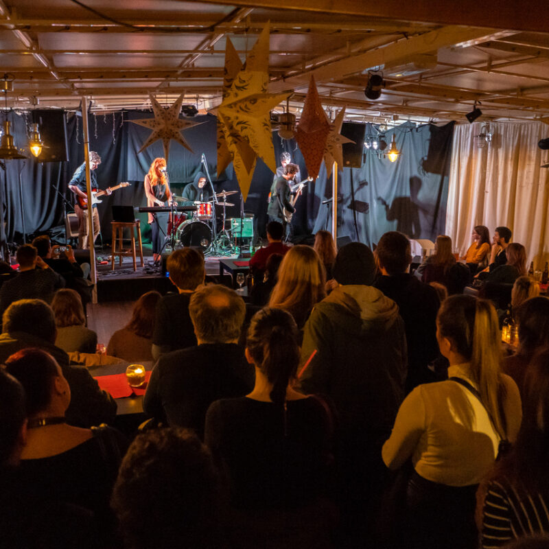 Stray Dogg, autor: Damir Jevtić