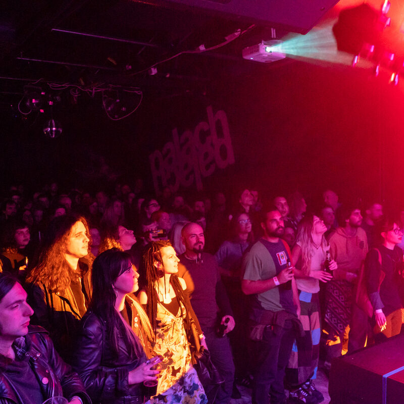 The Black Wizards + The Freak Folk of Mangrovia, autor: Damir Jevtić