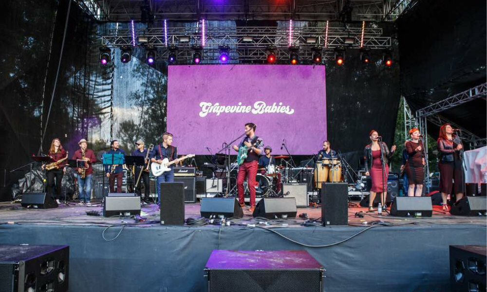 Grapevine Babies, autor: Danko Crnković