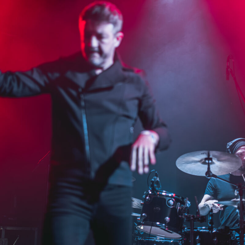 The Siids, autor: Filip Kovačević