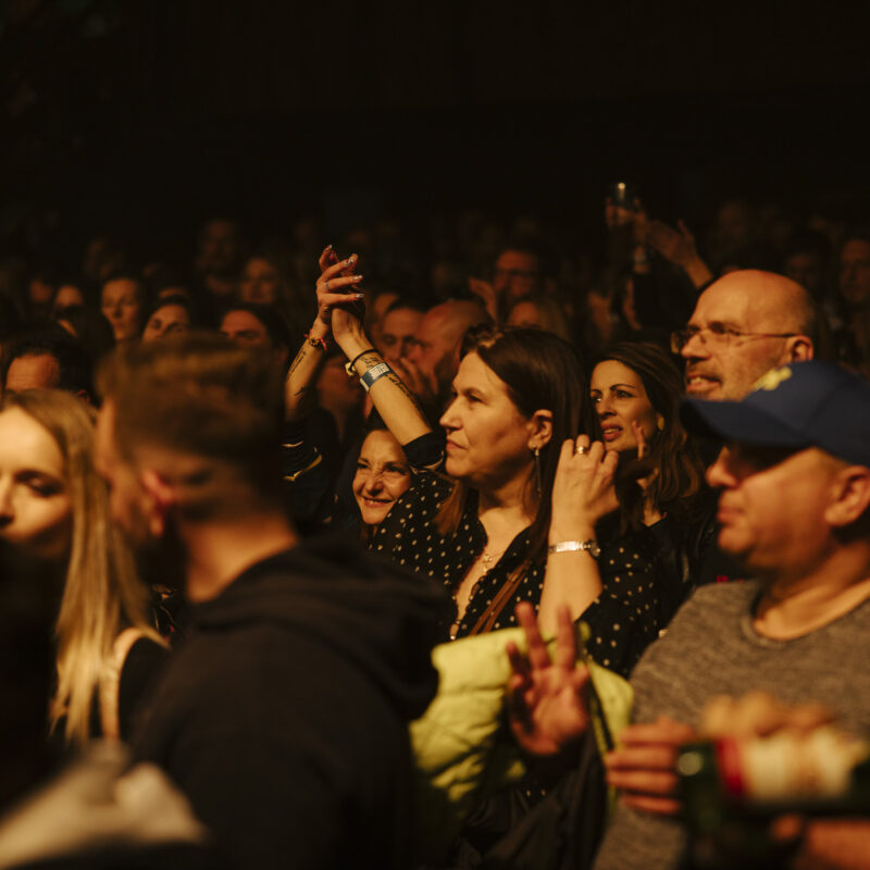 The Siids, autor: Karlo Čargonja