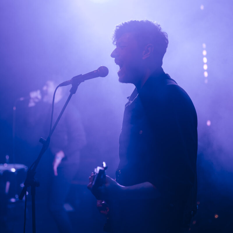 The Siids, autor: Karlo Čargonja